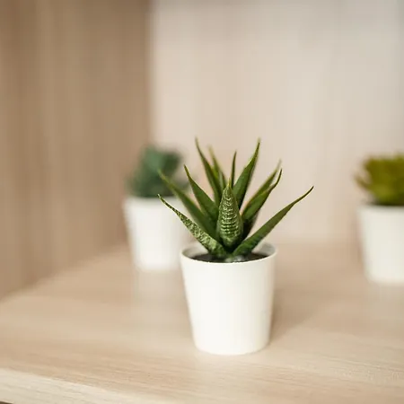 Certosa Charm - Free Garage Parking By Innstay Apartamento
